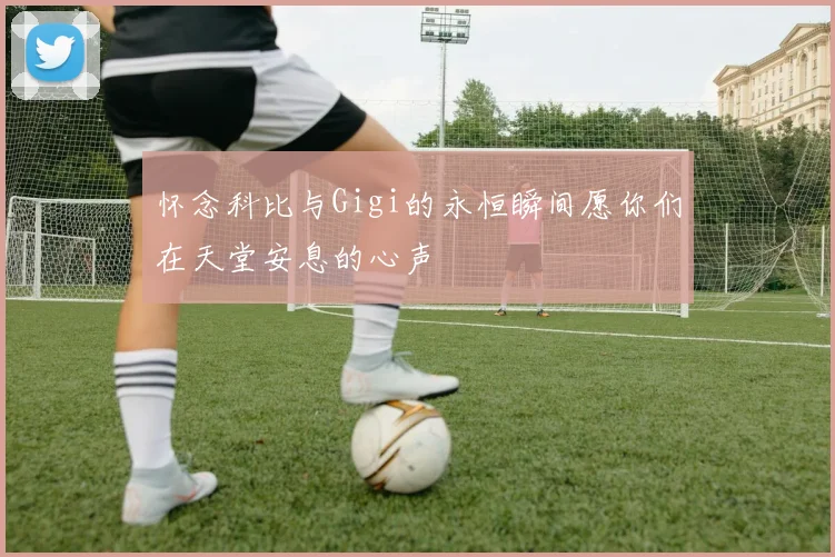 怀念科比与Gigi的永恒瞬间愿你们在天堂安息的心声