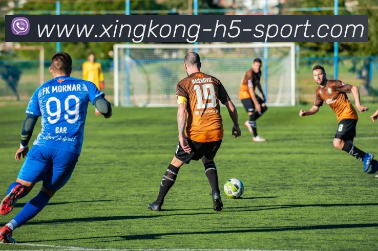 星空体育发展历程